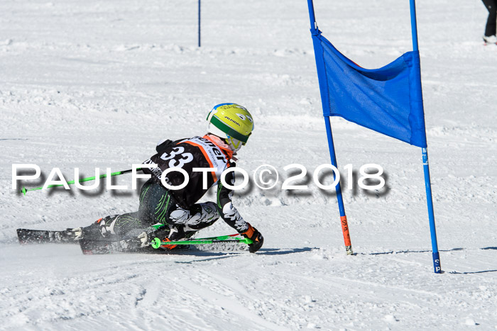 Ziener Cup WF, Finale, Quali + Parallelslalom, 24.03.2018