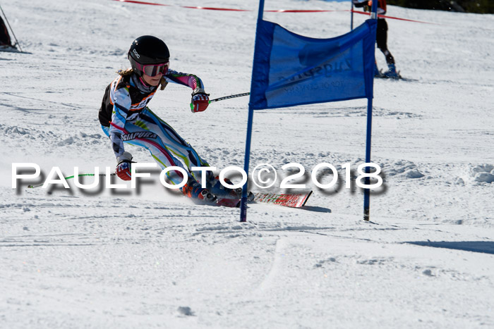Ziener Cup WF, Finale, Quali + Parallelslalom, 24.03.2018