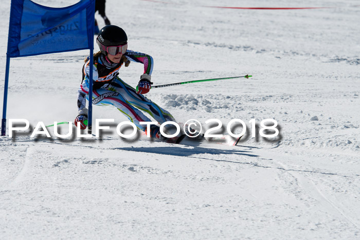 Ziener Cup WF, Finale, Quali + Parallelslalom, 24.03.2018