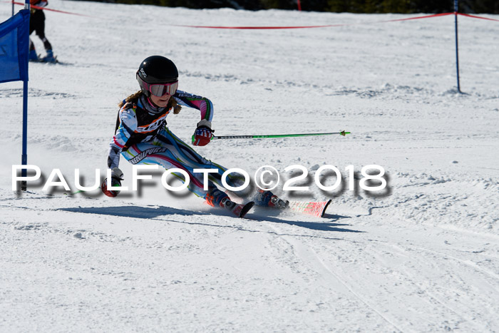 Ziener Cup WF, Finale, Quali + Parallelslalom, 24.03.2018