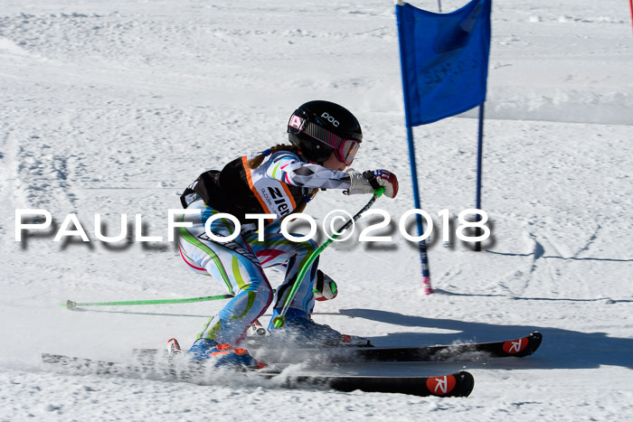 Ziener Cup WF, Finale, Quali + Parallelslalom, 24.03.2018