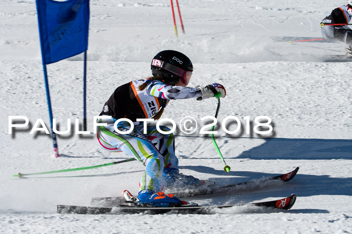 Ziener Cup WF, Finale, Quali + Parallelslalom, 24.03.2018