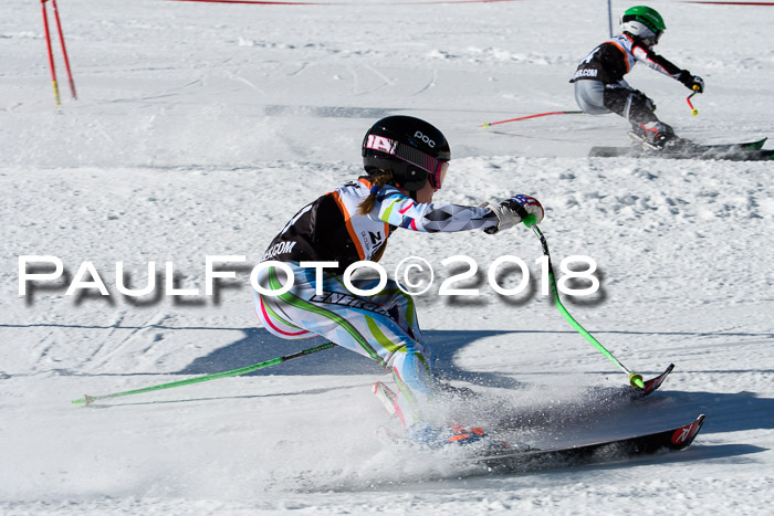 Ziener Cup WF, Finale, Quali + Parallelslalom, 24.03.2018
