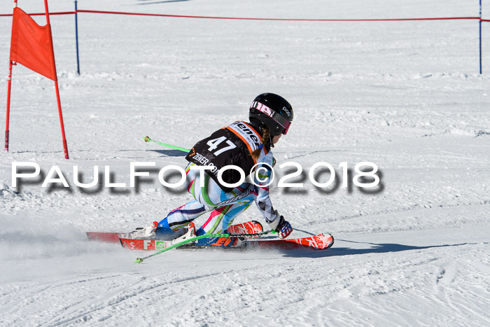 Ziener Cup WF, Finale, Quali + Parallelslalom, 24.03.2018