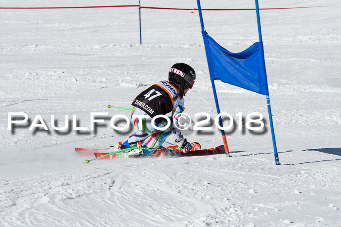 Ziener Cup WF, Finale, Quali + Parallelslalom, 24.03.2018