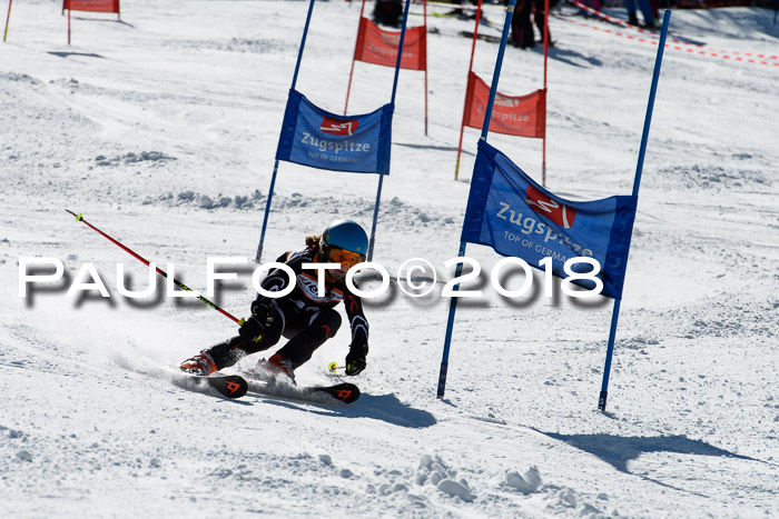 Ziener Cup WF, Finale, Quali + Parallelslalom, 24.03.2018