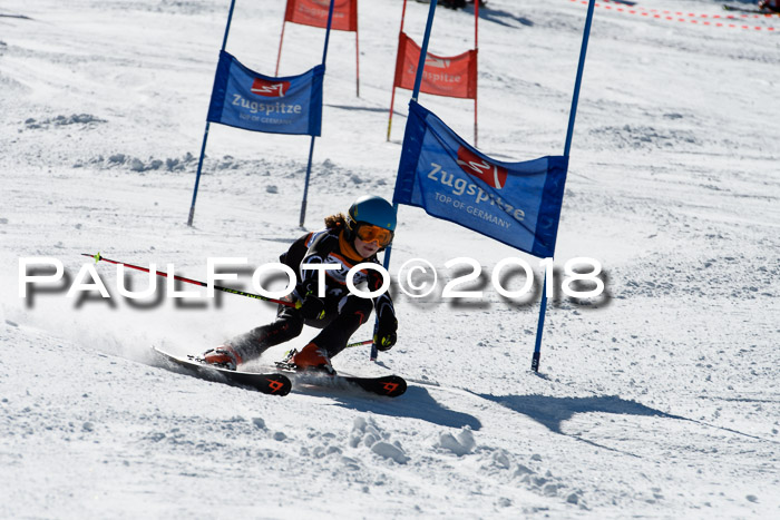 Ziener Cup WF, Finale, Quali + Parallelslalom, 24.03.2018