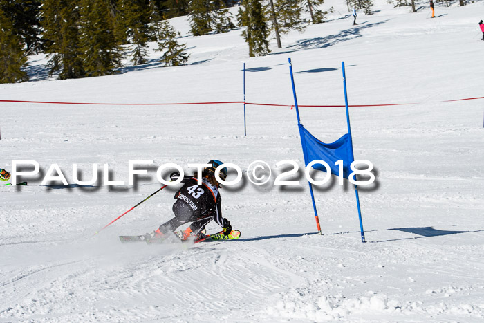 Ziener Cup WF, Finale, Quali + Parallelslalom, 24.03.2018
