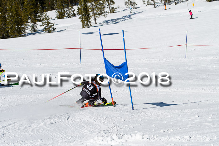 Ziener Cup WF, Finale, Quali + Parallelslalom, 24.03.2018