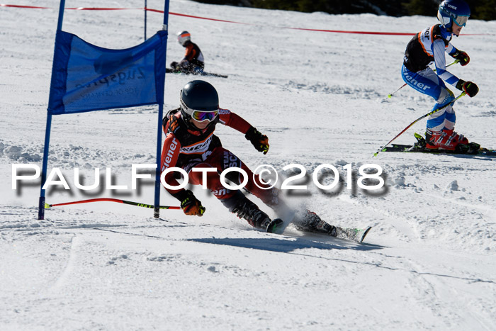 Ziener Cup WF, Finale, Quali + Parallelslalom, 24.03.2018
