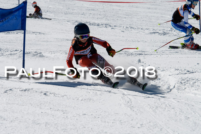 Ziener Cup WF, Finale, Quali + Parallelslalom, 24.03.2018