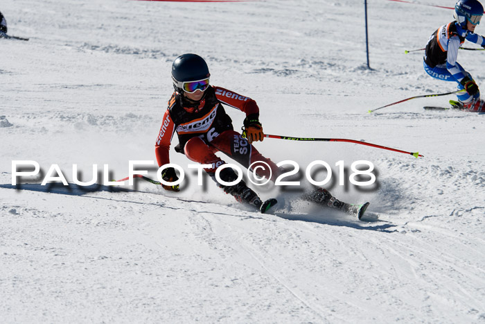 Ziener Cup WF, Finale, Quali + Parallelslalom, 24.03.2018