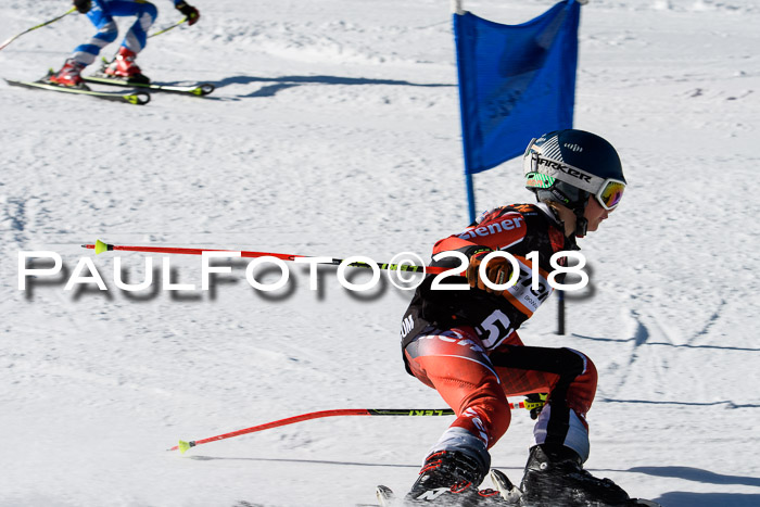 Ziener Cup WF, Finale, Quali + Parallelslalom, 24.03.2018