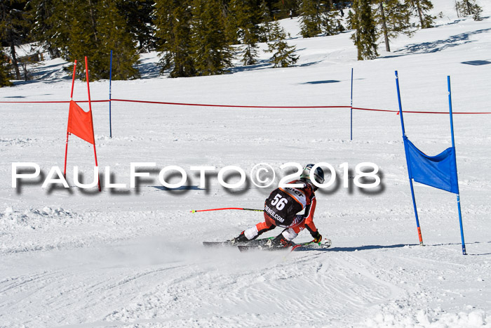 Ziener Cup WF, Finale, Quali + Parallelslalom, 24.03.2018