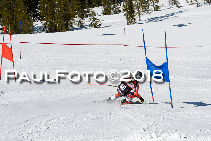 Ziener Cup WF, Finale, Quali + Parallelslalom, 24.03.2018