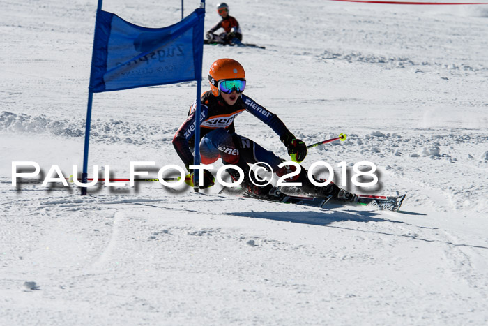 Ziener Cup WF, Finale, Quali + Parallelslalom, 24.03.2018
