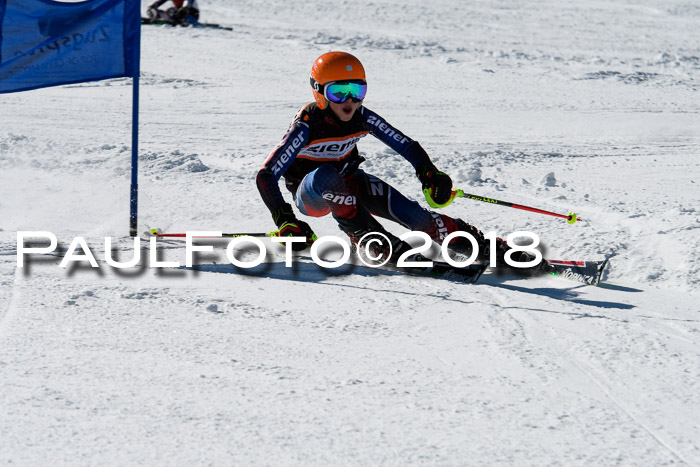 Ziener Cup WF, Finale, Quali + Parallelslalom, 24.03.2018