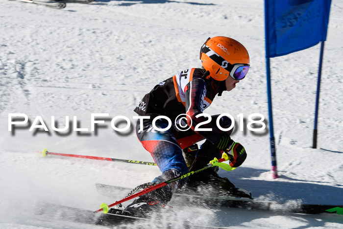 Ziener Cup WF, Finale, Quali + Parallelslalom, 24.03.2018