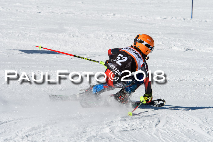 Ziener Cup WF, Finale, Quali + Parallelslalom, 24.03.2018