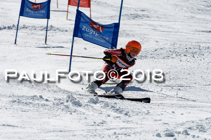 Ziener Cup WF, Finale, Quali + Parallelslalom, 24.03.2018
