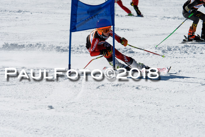 Ziener Cup WF, Finale, Quali + Parallelslalom, 24.03.2018