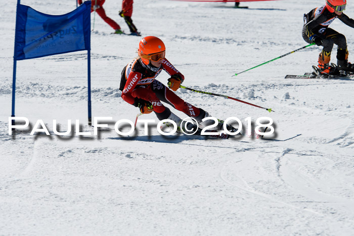 Ziener Cup WF, Finale, Quali + Parallelslalom, 24.03.2018