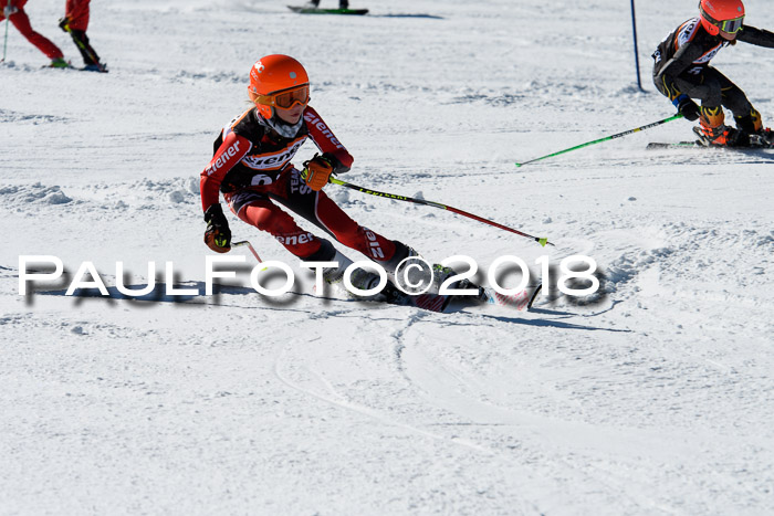 Ziener Cup WF, Finale, Quali + Parallelslalom, 24.03.2018