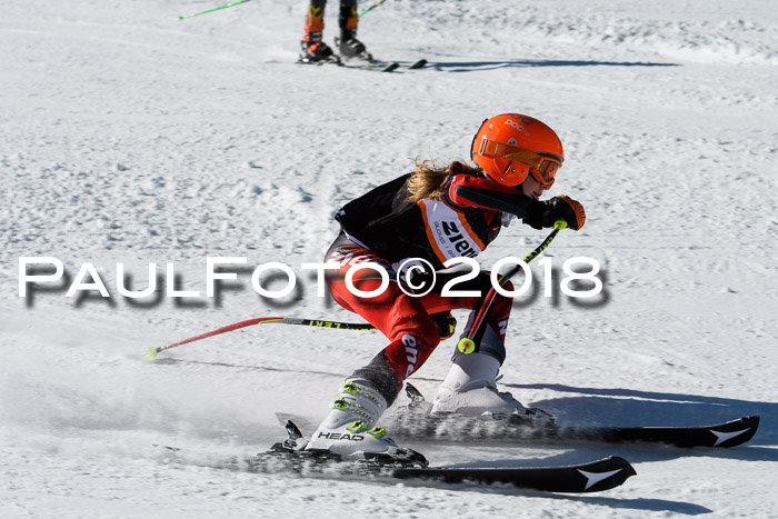 Ziener Cup WF, Finale, Quali + Parallelslalom, 24.03.2018