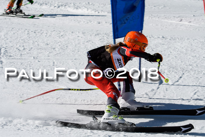 Ziener Cup WF, Finale, Quali + Parallelslalom, 24.03.2018