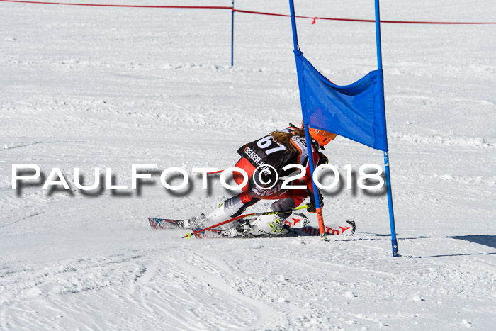 Ziener Cup WF, Finale, Quali + Parallelslalom, 24.03.2018