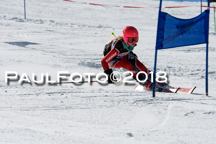 Ziener Cup WF, Finale, Quali + Parallelslalom, 24.03.2018