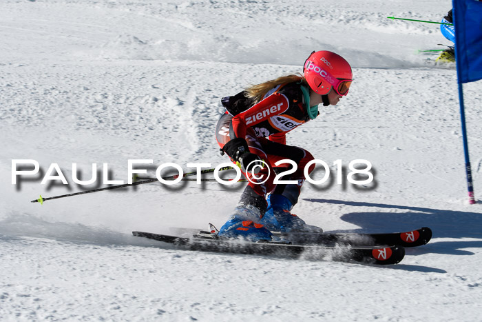Ziener Cup WF, Finale, Quali + Parallelslalom, 24.03.2018