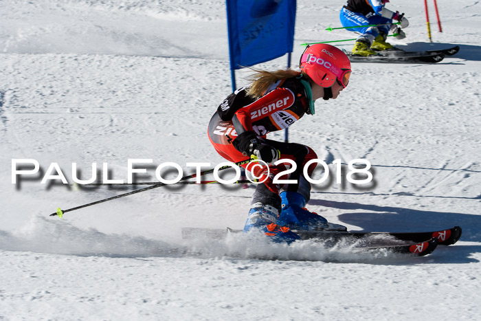 Ziener Cup WF, Finale, Quali + Parallelslalom, 24.03.2018