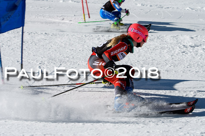Ziener Cup WF, Finale, Quali + Parallelslalom, 24.03.2018