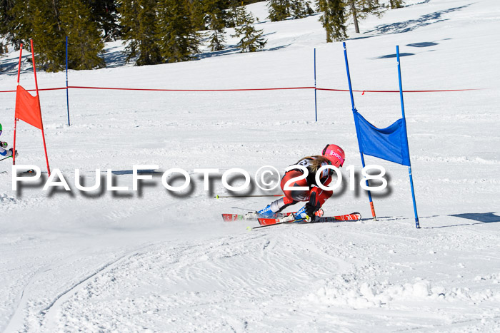 Ziener Cup WF, Finale, Quali + Parallelslalom, 24.03.2018