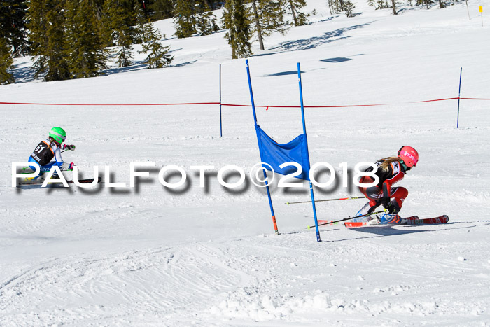 Ziener Cup WF, Finale, Quali + Parallelslalom, 24.03.2018