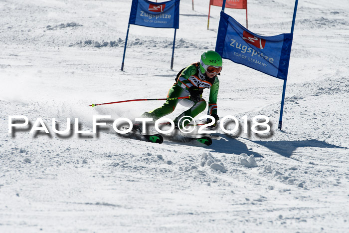 Ziener Cup WF, Finale, Quali + Parallelslalom, 24.03.2018
