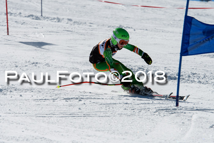 Ziener Cup WF, Finale, Quali + Parallelslalom, 24.03.2018