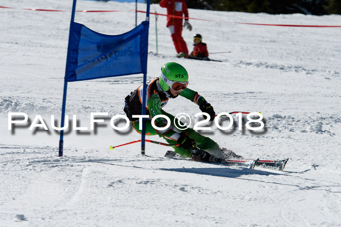 Ziener Cup WF, Finale, Quali + Parallelslalom, 24.03.2018