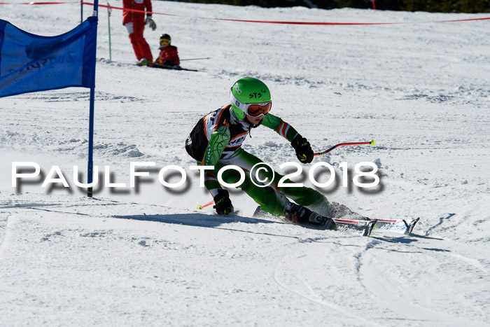 Ziener Cup WF, Finale, Quali + Parallelslalom, 24.03.2018