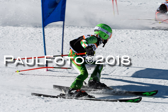 Ziener Cup WF, Finale, Quali + Parallelslalom, 24.03.2018