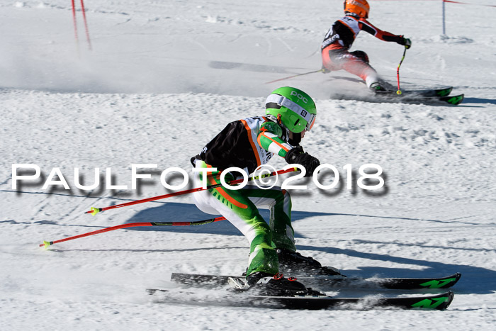 Ziener Cup WF, Finale, Quali + Parallelslalom, 24.03.2018