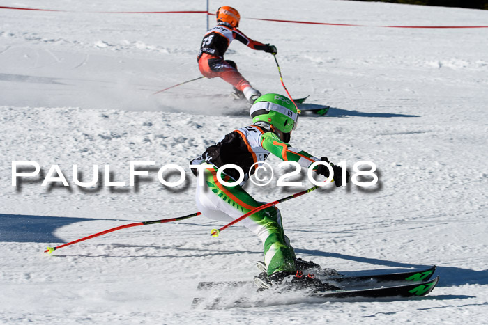 Ziener Cup WF, Finale, Quali + Parallelslalom, 24.03.2018