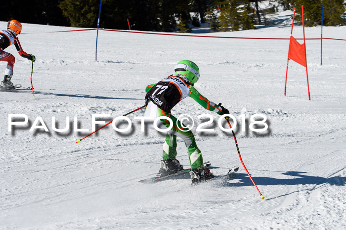 Ziener Cup WF, Finale, Quali + Parallelslalom, 24.03.2018