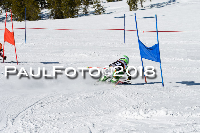 Ziener Cup WF, Finale, Quali + Parallelslalom, 24.03.2018
