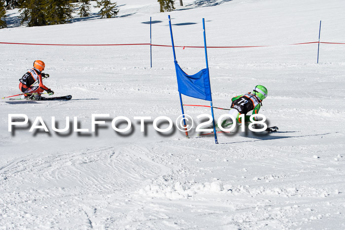Ziener Cup WF, Finale, Quali + Parallelslalom, 24.03.2018