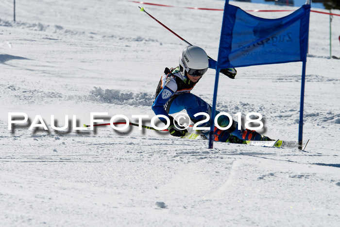Ziener Cup WF, Finale, Quali + Parallelslalom, 24.03.2018