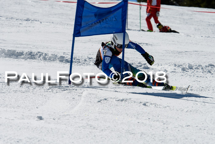 Ziener Cup WF, Finale, Quali + Parallelslalom, 24.03.2018