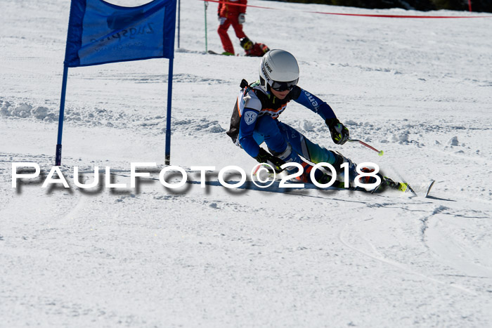 Ziener Cup WF, Finale, Quali + Parallelslalom, 24.03.2018