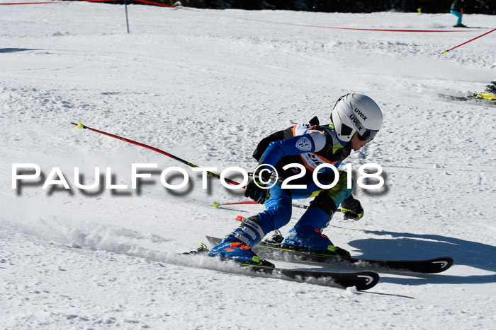 Ziener Cup WF, Finale, Quali + Parallelslalom, 24.03.2018